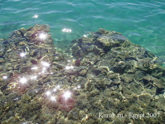 отдых в египте 2007