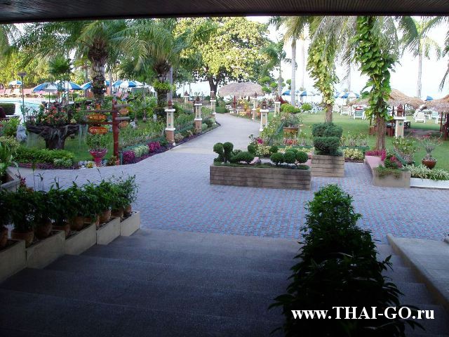 �������, ����, ����� ���� �������, asia pattaya hotel