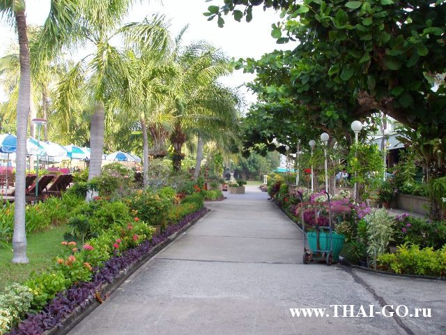 �������, ����, ����� ���� �������, asia pattaya hotel