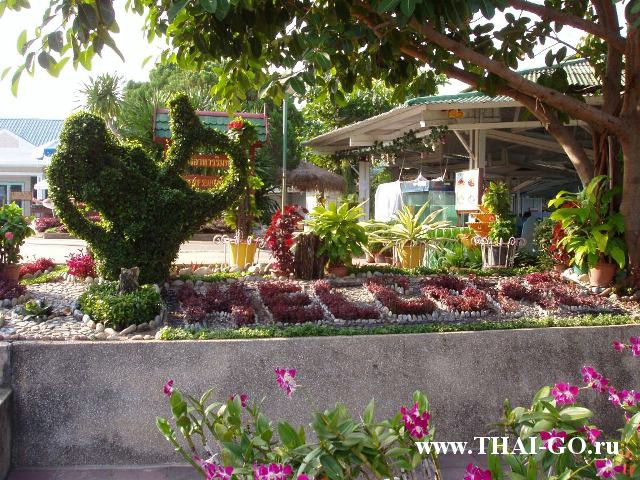 �������, ����, ����� ���� �������, asia pattaya hotel