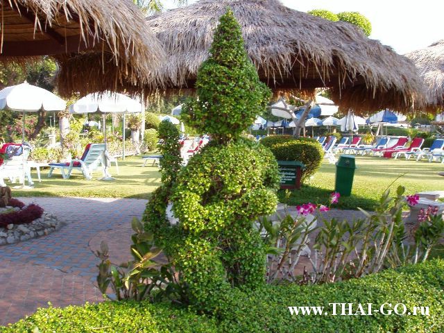 �������, ����, ����� ���� �������, asia pattaya hotel