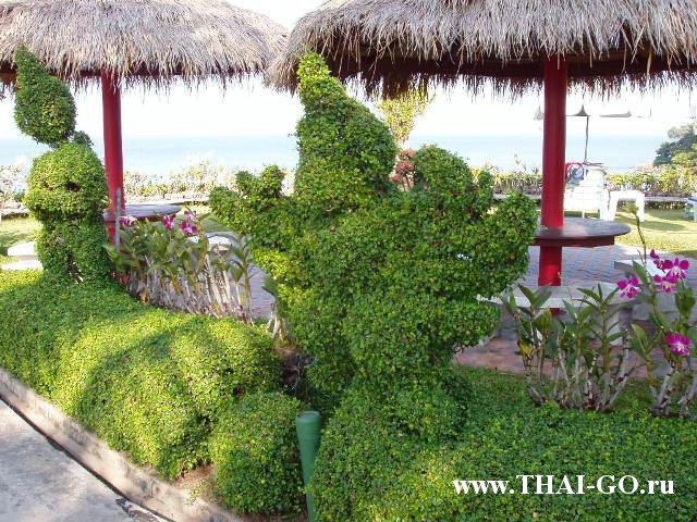 �������, ����, ����� ���� �������, asia pattaya hotel