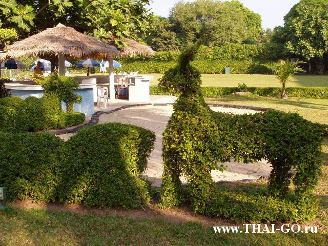 �������, ����, ����� ���� �������, asia pattaya hotel