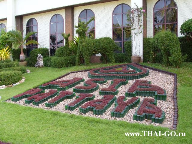 �������, ����, ����� ���� �������, asia pattaya hotel