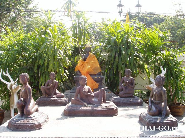 �������, ����, �������