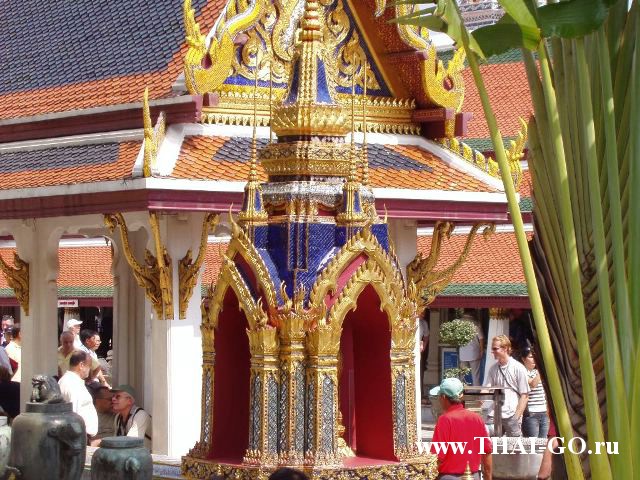 �������, ����, �������