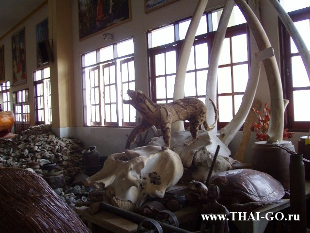 �������, ����,��������� ���������