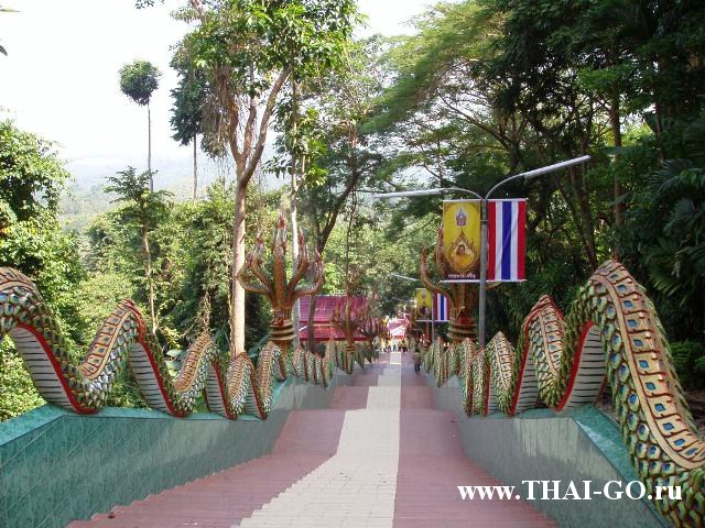 �������, ����,��������� ���������