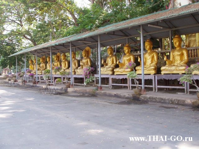 �������, ����,��������� ���������