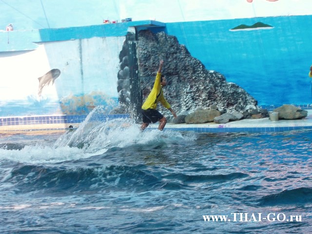 �������, ����,��������� ���������