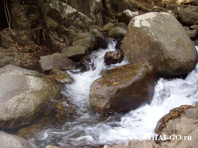 �������, ����,��������� ���������