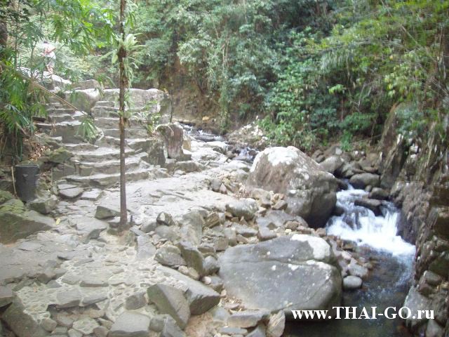 �������, ����,��������� ���������