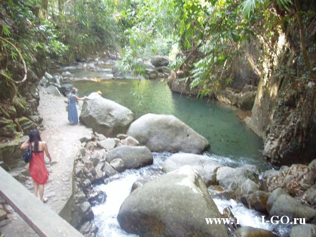 �������, ����,��������� ���������