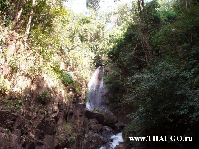 �������, ����,��������� ���������