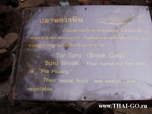 �������, ����,��������� ���������