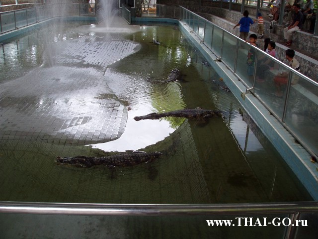 �������, ����, ������������ �����