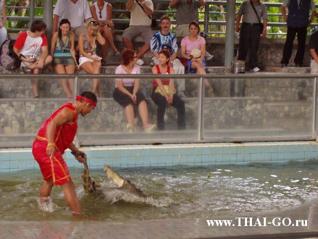 �������, ����, ������������ �����