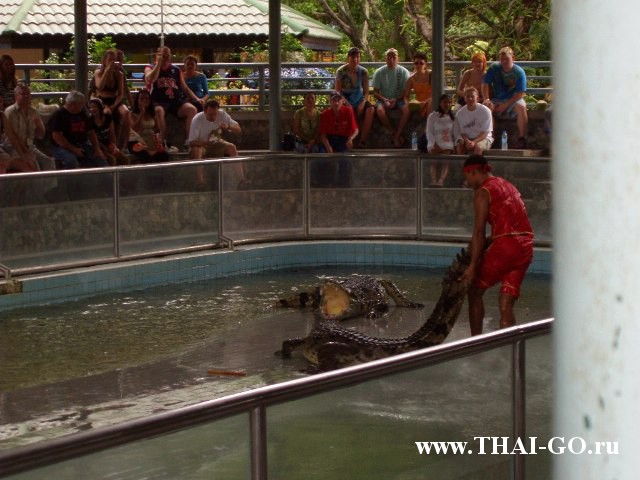 �������, ����, ������������ �����