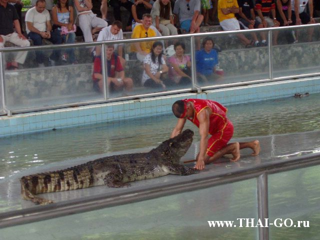 �������, ����, ������������ �����