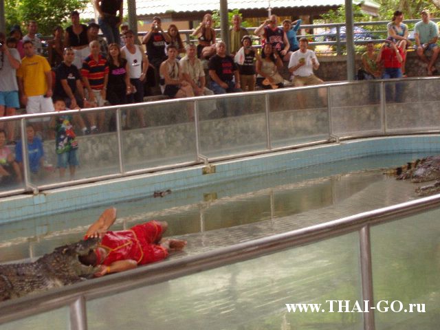 �������, ����, ������������ �����