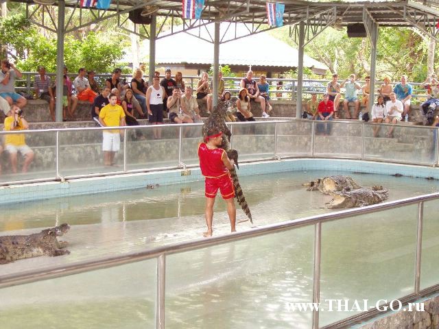 �������, ����, ������������ �����