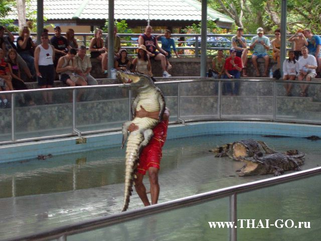 �������, ����, ������������ �����