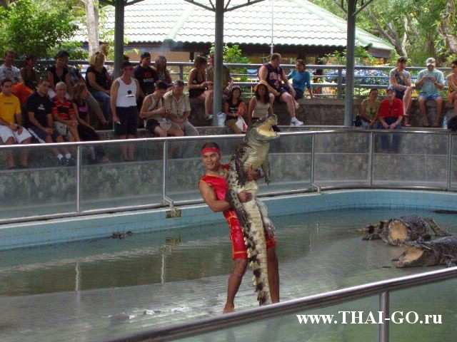 �������, ����, ������������ �����