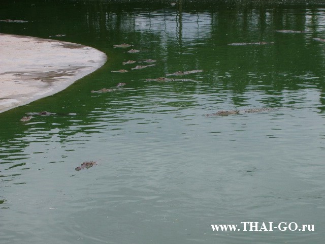 �������, ����, ������������ �����