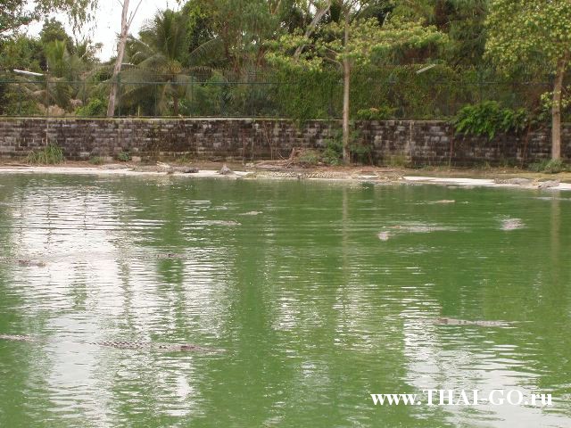 �������, ����, ������������ �����