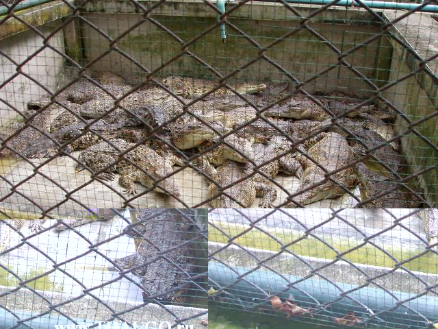 �������, ����, ������������ �����