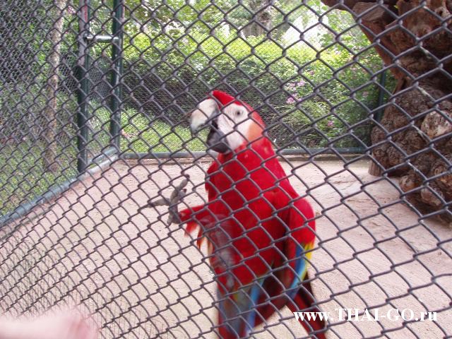 �������, ����, ������������ �����