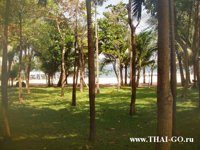 �������, ����, ����� ������ �� ���, garden sea view hotel