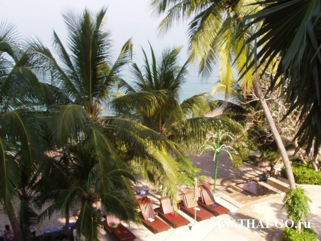 �������, ����, ����� ������ �� ���, garden sea view hotel