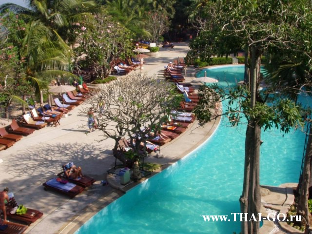 �������, ����, ����� ������ �� ���, garden sea view hotel