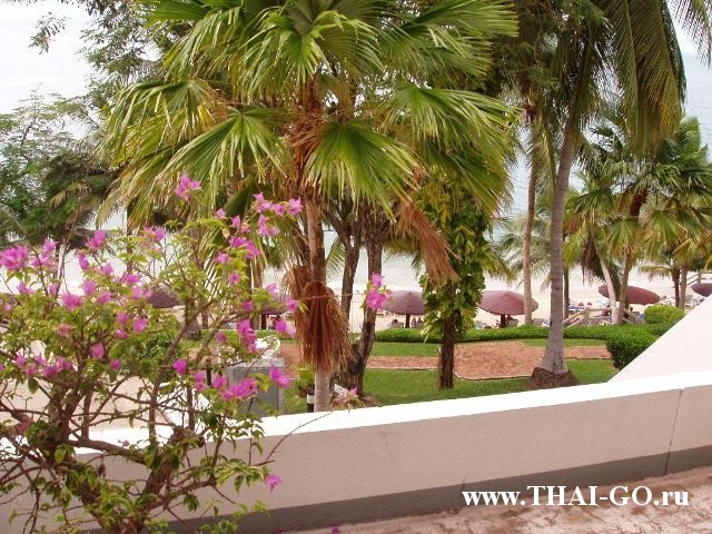 �������, ����, ����� ������ �� ���, garden sea view hotel