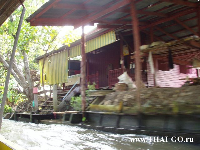 �������, ����, ����������� �� ���� ����