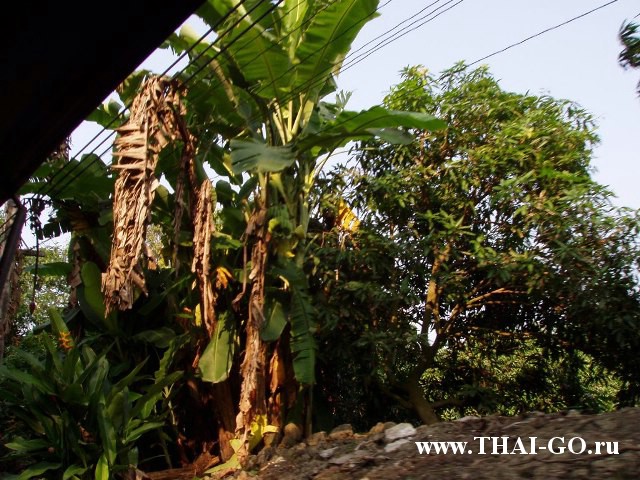 �������, ����, ����������� �� ���� ����