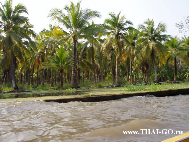 �������, ����, ����������� �� ���� ����