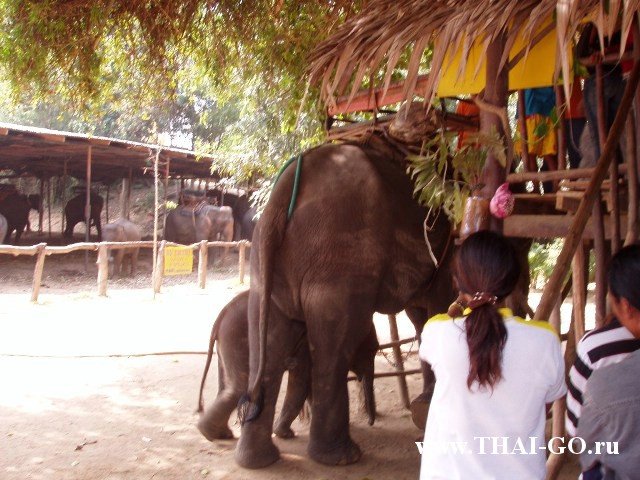 �������, ����, ����������� �� ���� ����