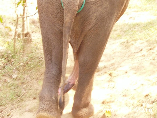 �������, ����, ����������� �� ���� ����