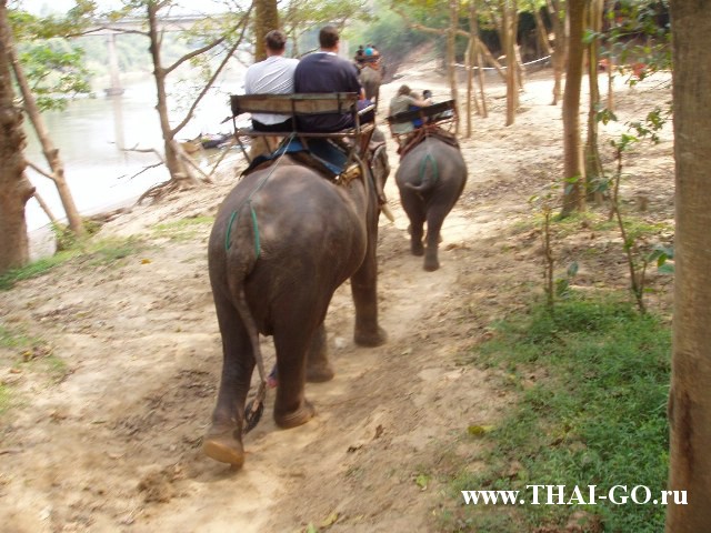 �������, ����, ����������� �� ���� ����