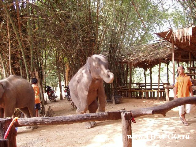 �������, ����, ����������� �� ���� ����