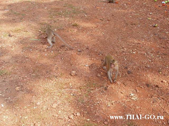 �������, ����, ����������� �� ���� ����