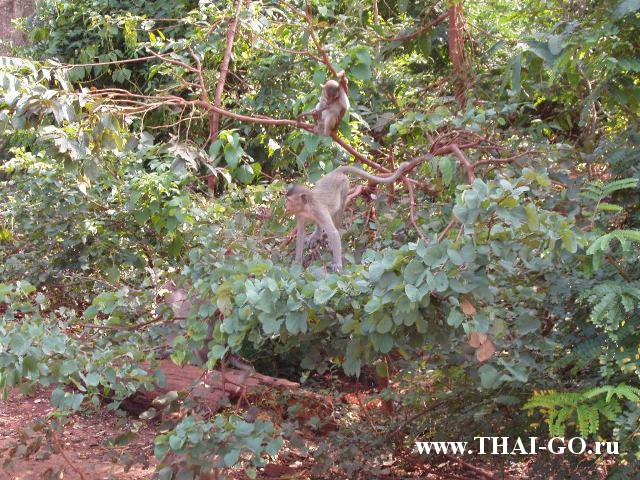 �������, ����, ����������� �� ���� ����