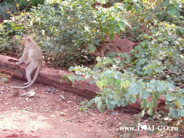 �������, ����, ����������� �� ���� ����