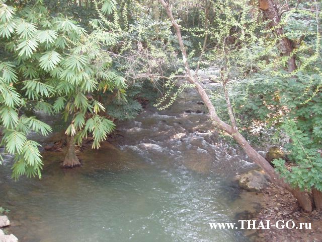 �������, ����, ����������� �� ���� ����