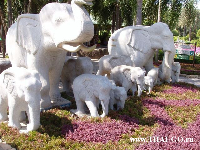 �������, ����, ��������� ����������� ��� ���� ���