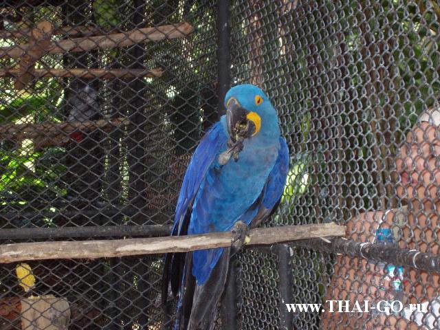 �������, ����, ��������� ����������� ��� ���� ���