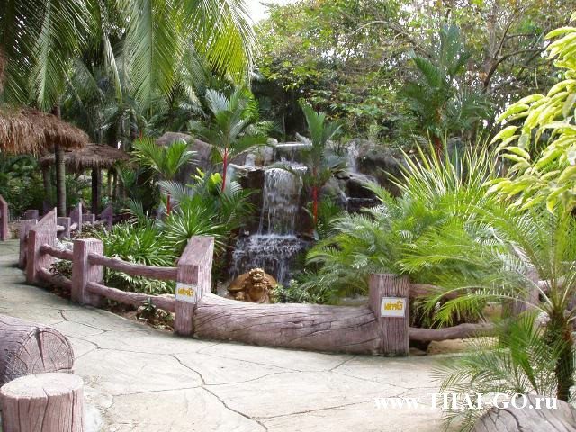 �������, ����, ��������� ����������� ��� ���� ���