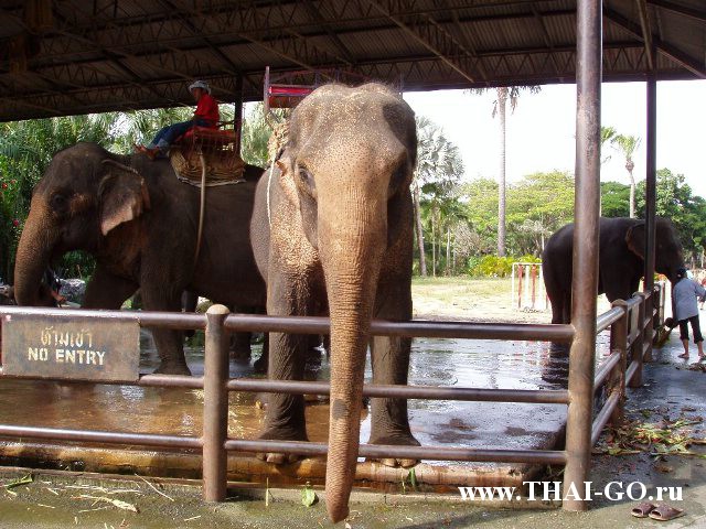 �������, ����, ��������� ����������� ��� ���� ���